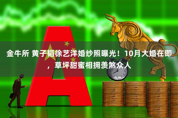 金牛所 黄子韬徐艺洋婚纱照曝光！10月大婚在即，草坪甜蜜相拥羡煞众人