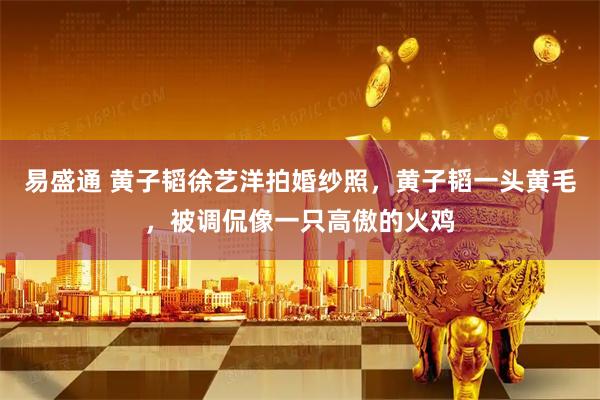 易盛通 黄子韬徐艺洋拍婚纱照，黄子韬一头黄毛，被调侃像一只高傲的火鸡