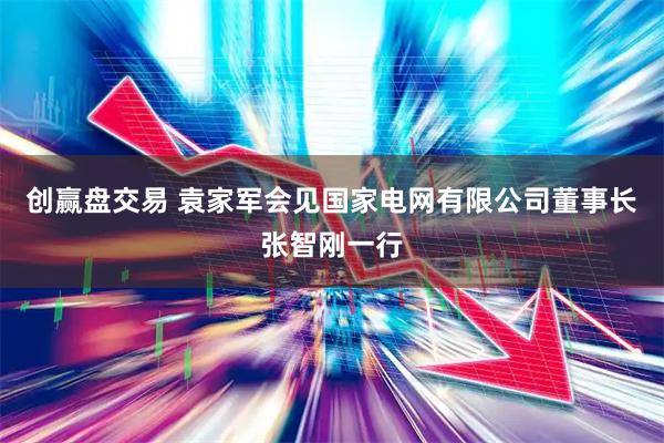 创赢盘交易 袁家军会见国家电网有限公司董事长张智刚一行