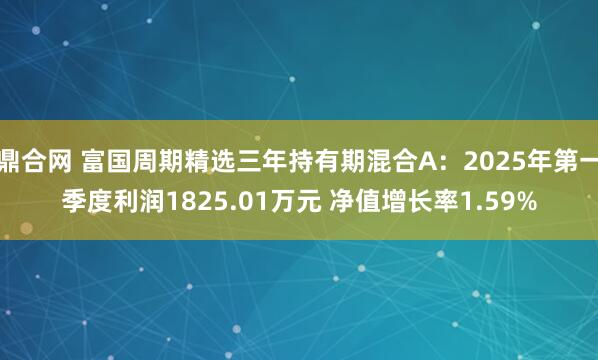 鼎合网 富国周期精选三年持有期混合A：2025年第一季度利润1825.01万元 净值增长率1.59%
